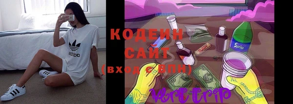 ПСИЛОЦИБИНОВЫЕ ГРИБЫ Лихославль