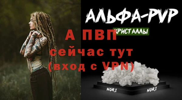 ПСИЛОЦИБИНОВЫЕ ГРИБЫ Лихославль