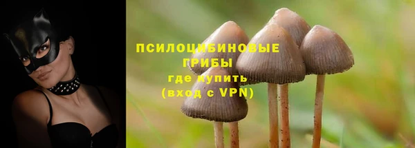 ПСИЛОЦИБИНОВЫЕ ГРИБЫ Лихославль