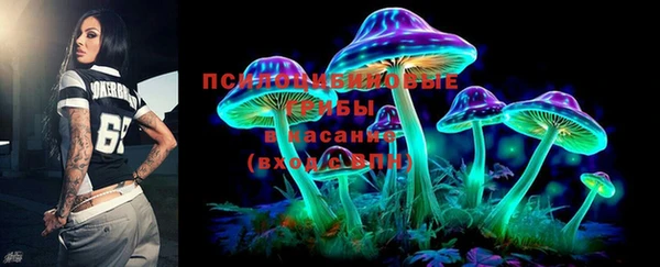 первитин Ладушкин