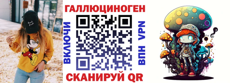 закладки  Надым  Галлюциногенные грибы Psilocybine cubensis 